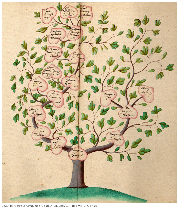 Beautifully crafted family tree (Bautzen City Archive � Rep VIII VI A c 1-2)